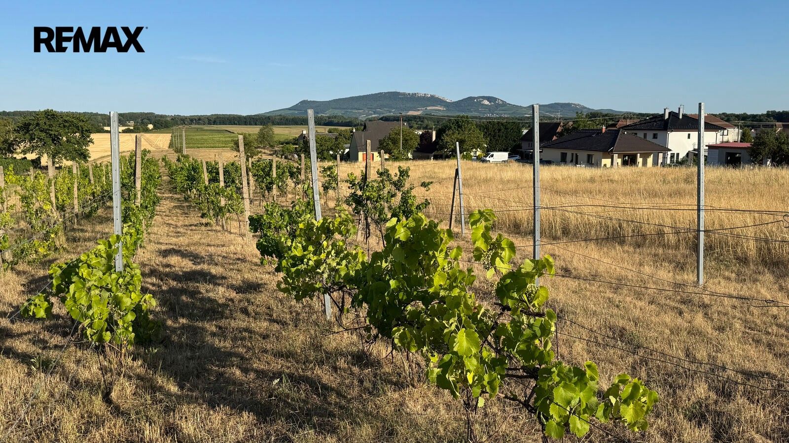Prodej pozemek pro bydlení - Ivaň, 6 921 m² - 5