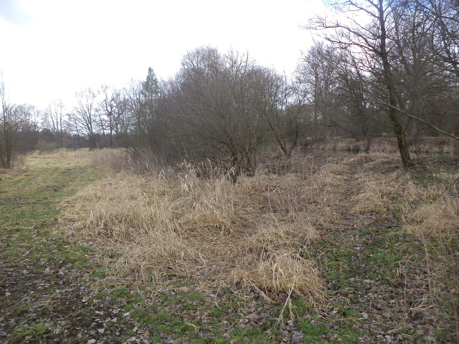 Prodej pozemek - Novosedly nad Nežárkou, 6 m²