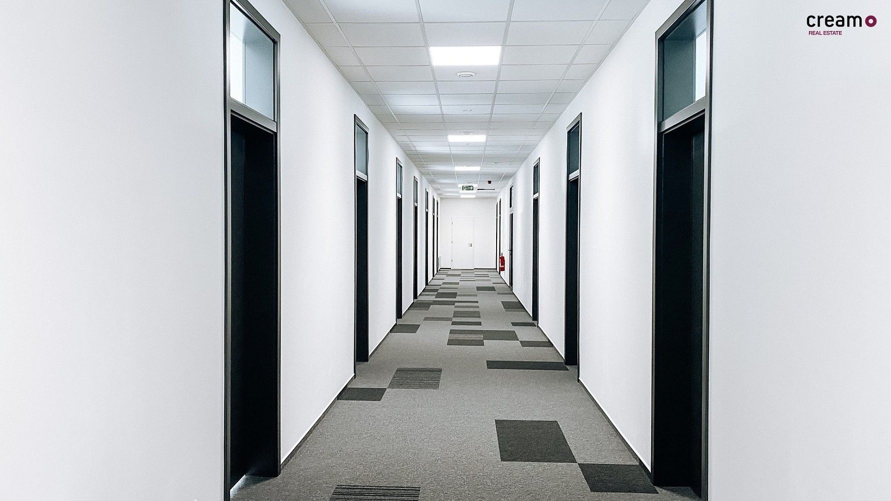 Kancelář · 500 m² · Moravské náměstí, Brno - Veveří - 4
