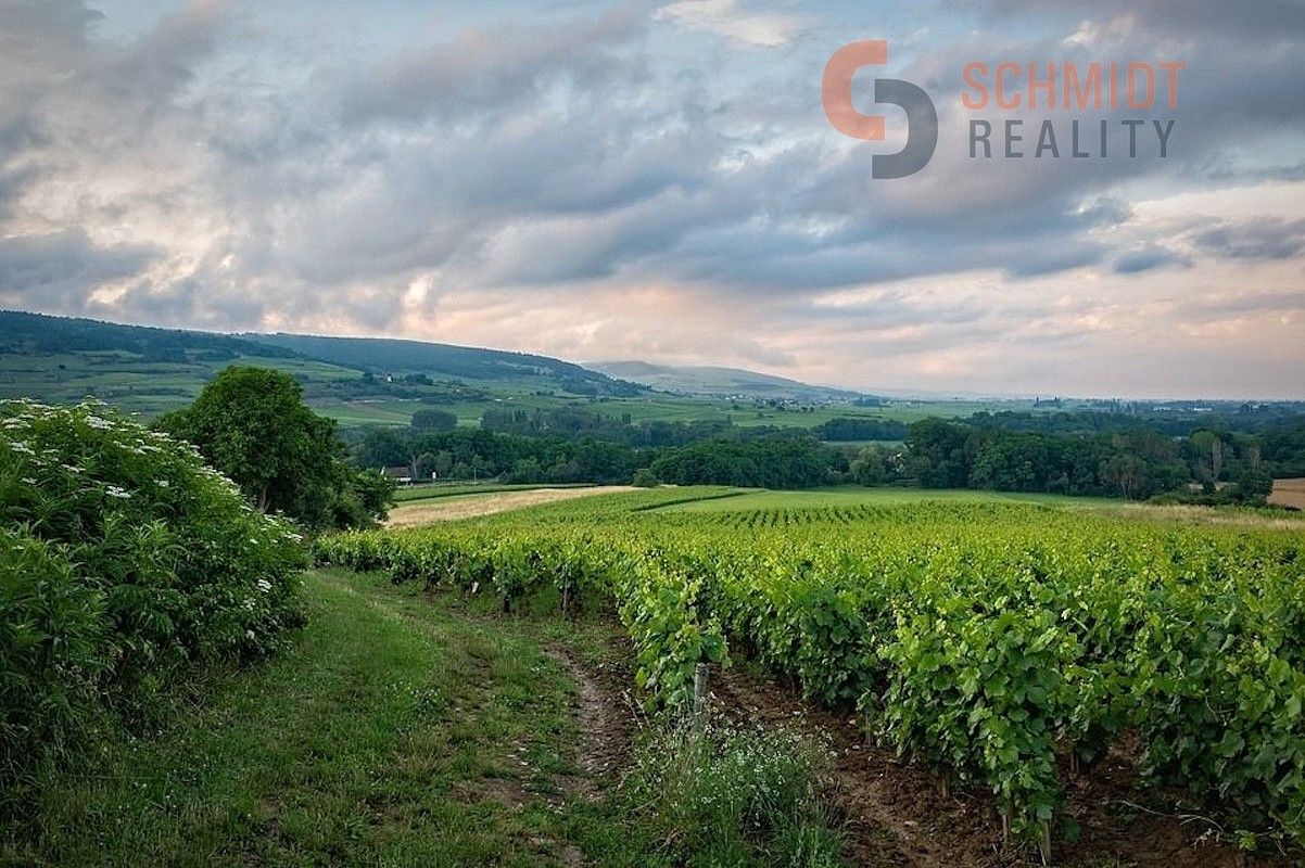 Ostatní, Klentnice, okres Břeclav, Jihomoravský kraj - 1