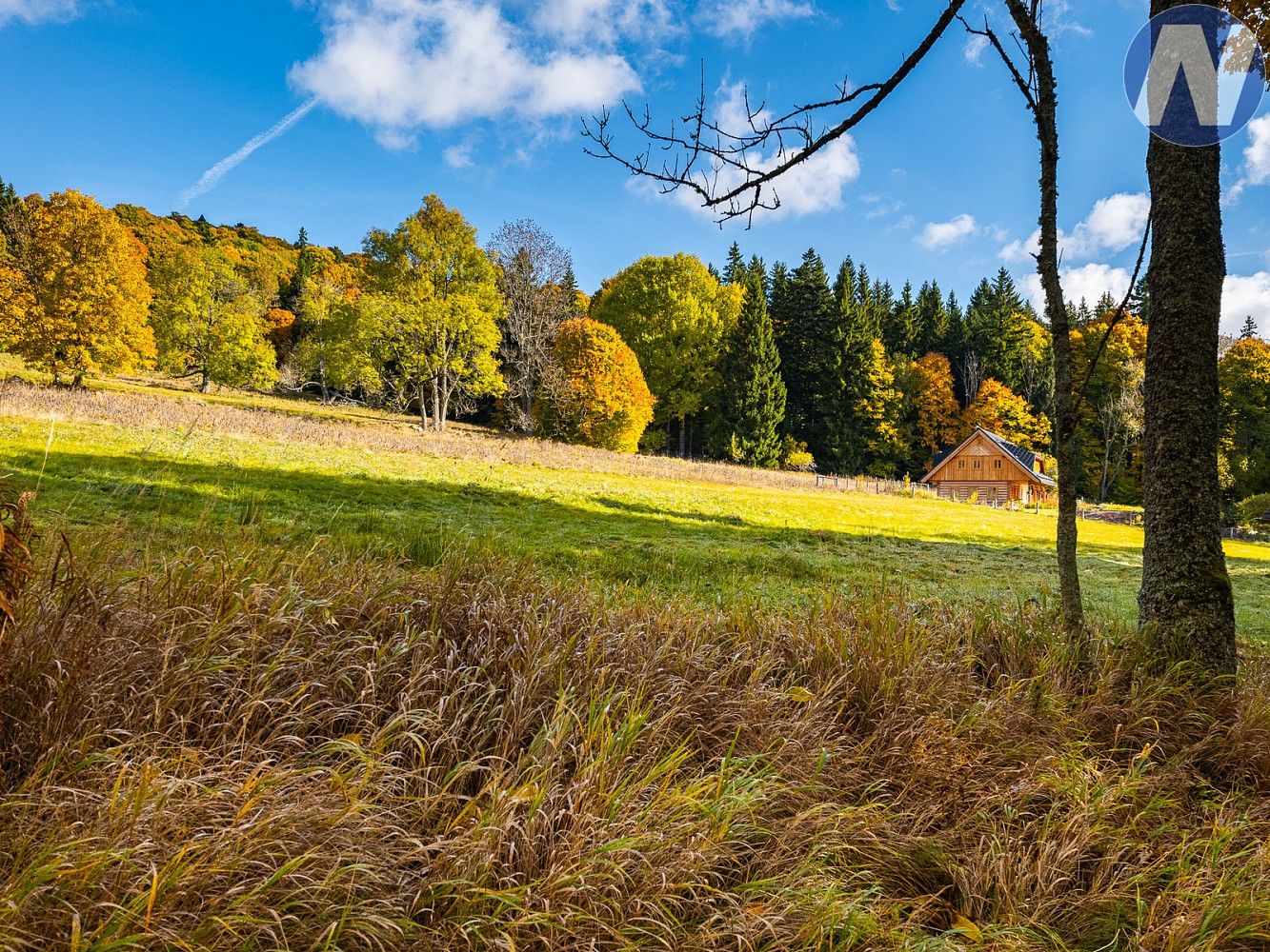 Prodej louka - Stožec, okres Prachatice, Jihočeský kraj - 5