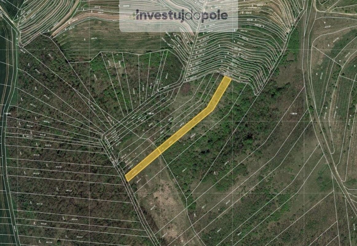 Zemědělské pozemky, Hustopeče, 1 770 m²