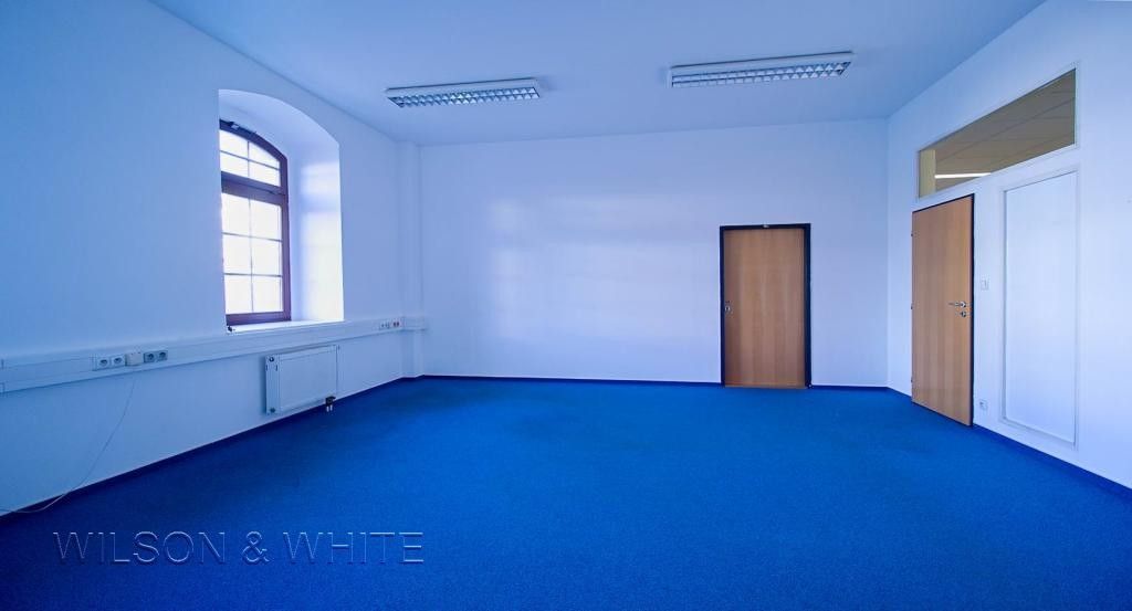 Kanceláře, U Průhonu, Praha 7, Holešovice, 55 m²