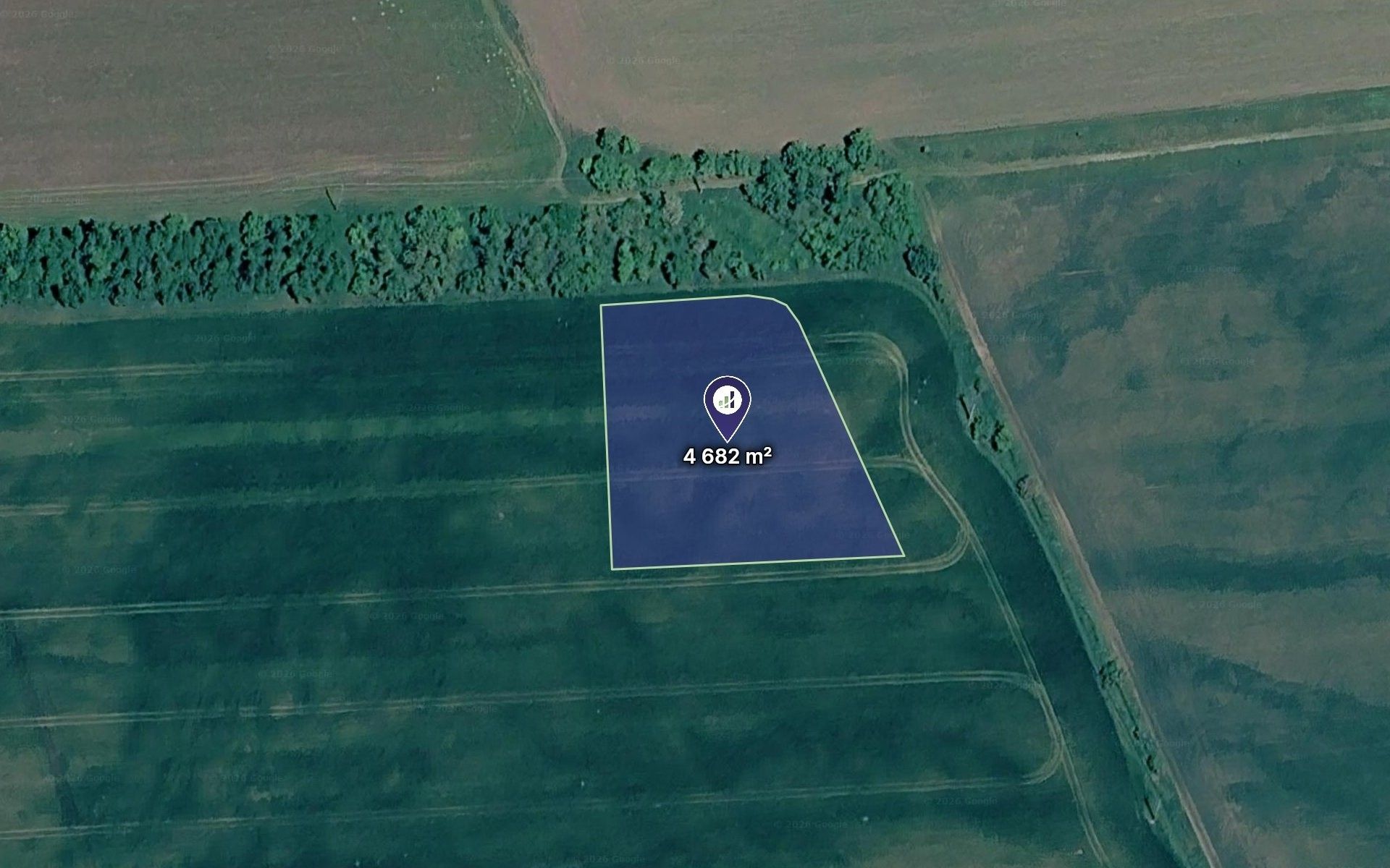 Prodej zemědělský pozemek - Hrušovany nad Jevišovkou, 4 682 m² - 1