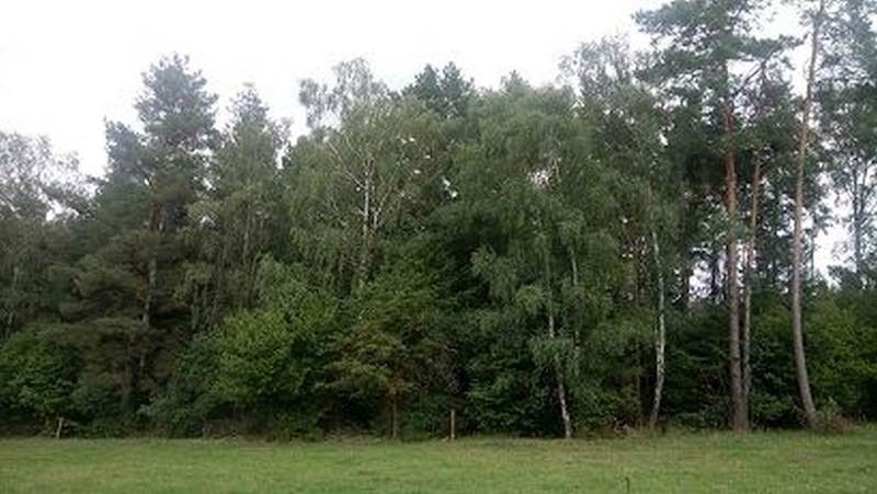 Pozemky pro bydlení, Vlachovo Březí, 384 22 - 2