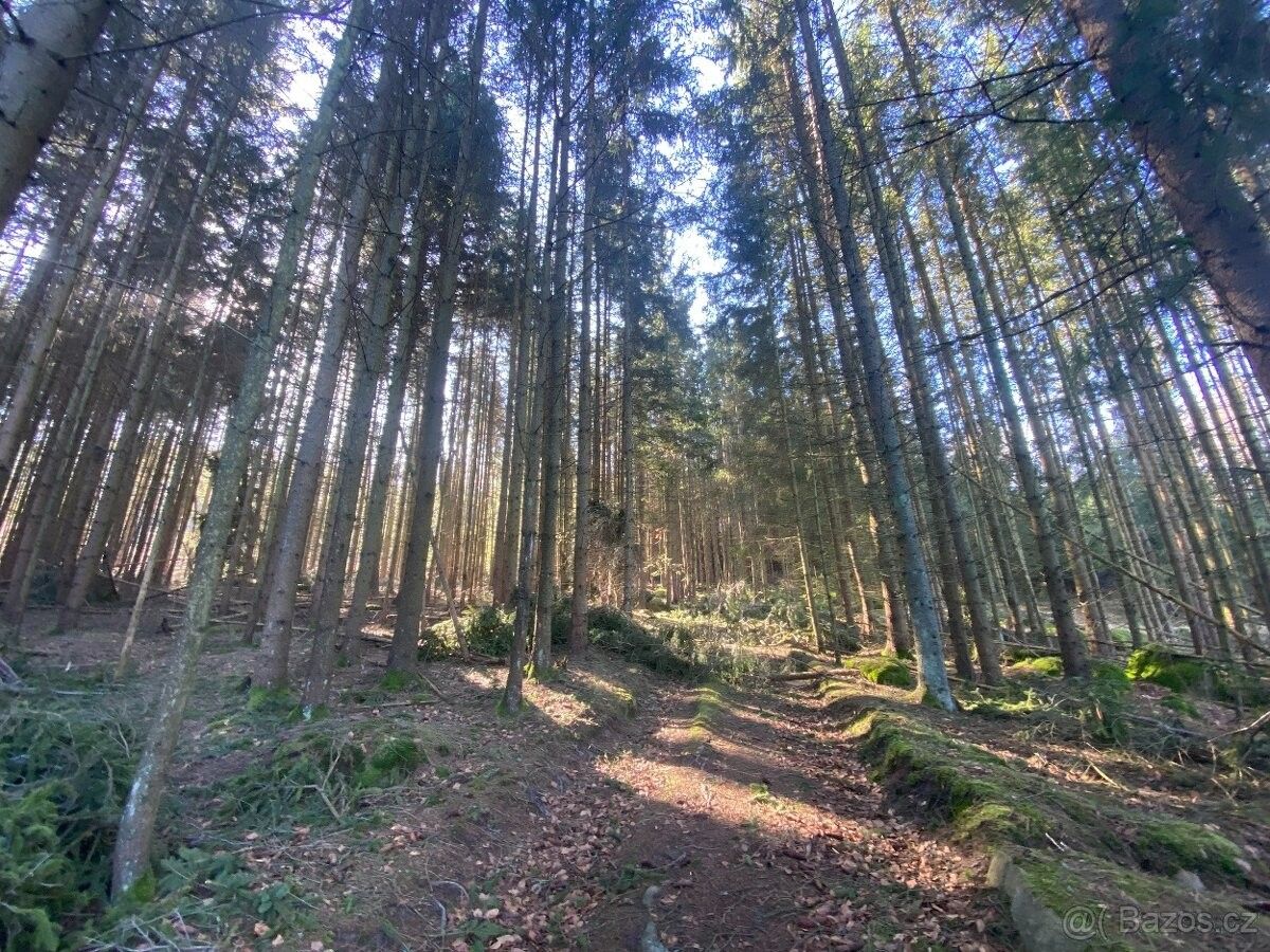 Lesy, Humpolec, 396 01, 13 956 m²