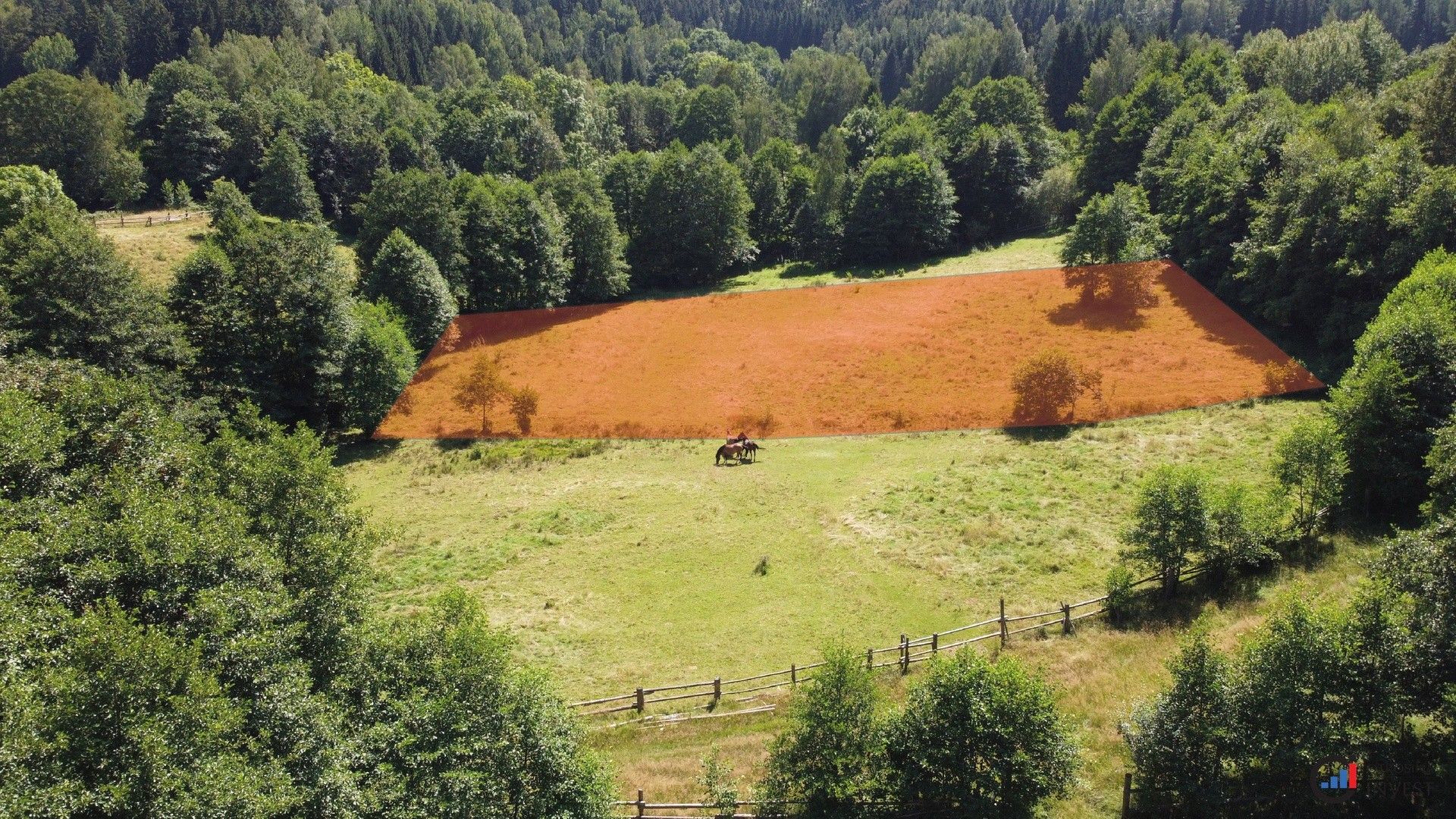Prodej pozemek pro bydlení - Olešnice v Orlických horách