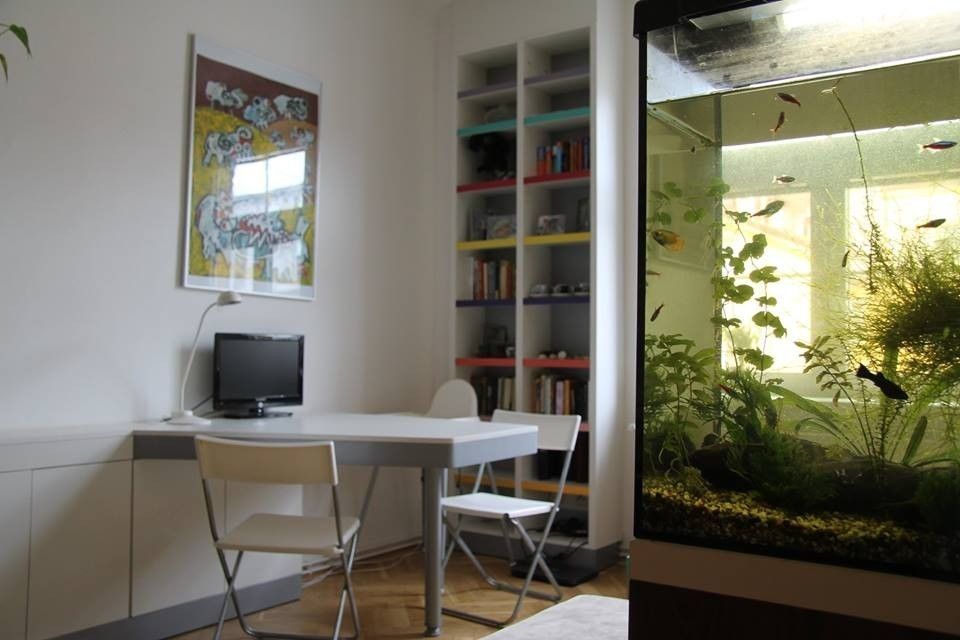 2+kk, Buchovcova, Praha - Žižkov, 42 m² - 2