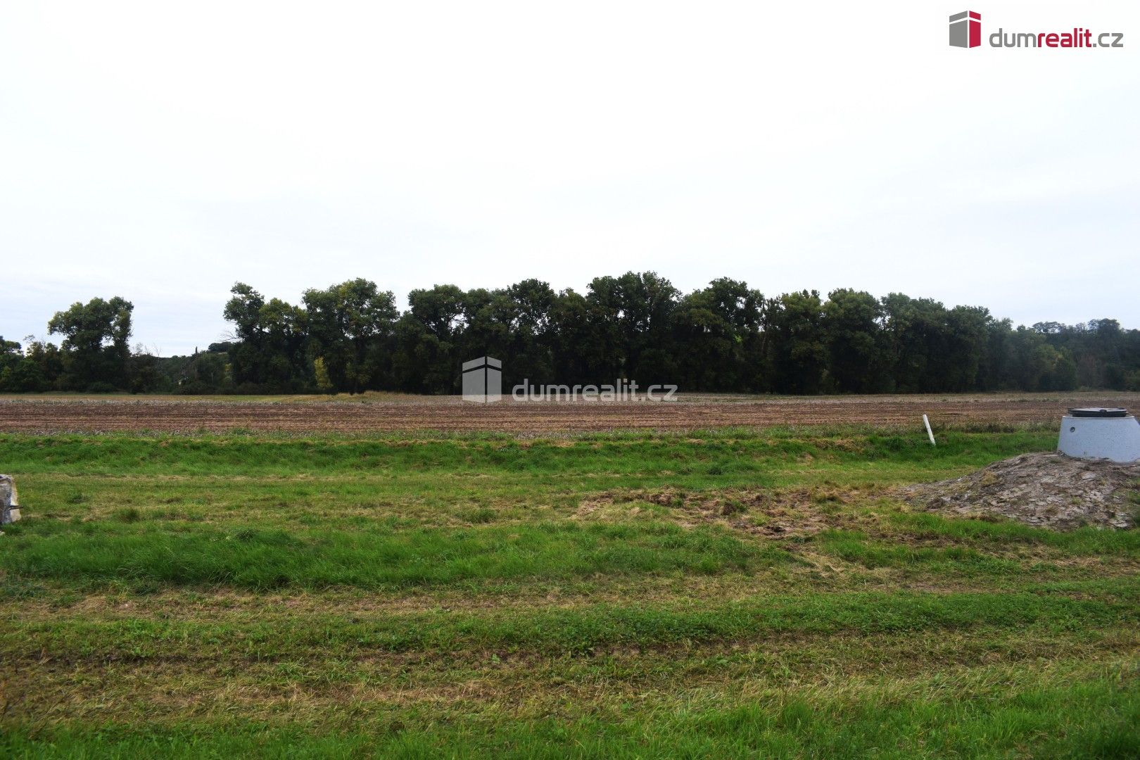 Prodej zemědělský pozemek - Pražská, Benátky nad Jizerou, 6 490 m²