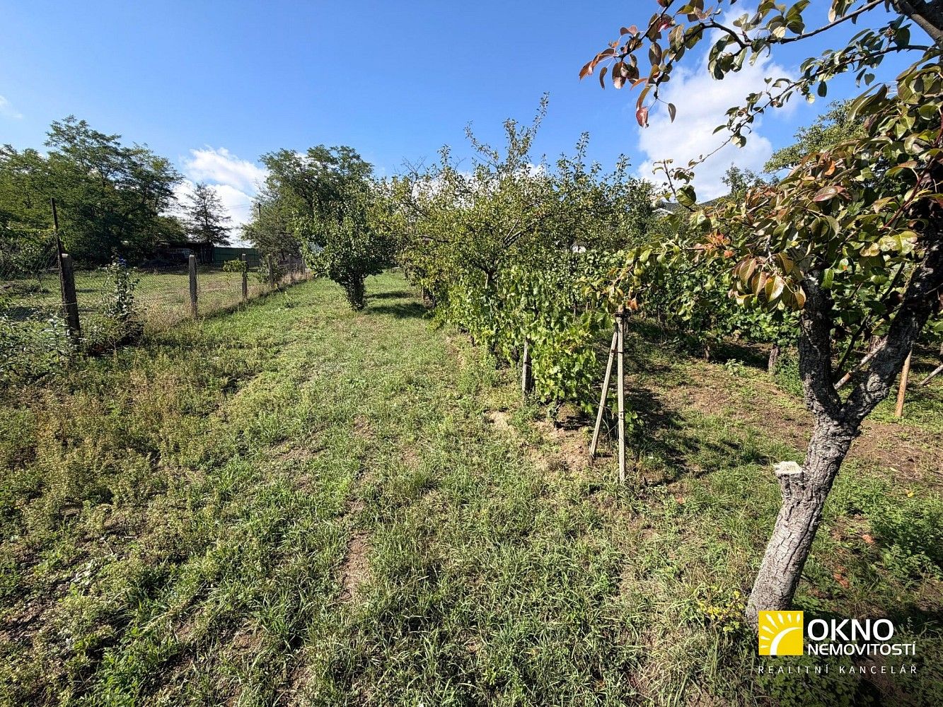 Zahrada · Svatobořice-Mistřín, okres Hodonín, Jihomoravský kraj - 3