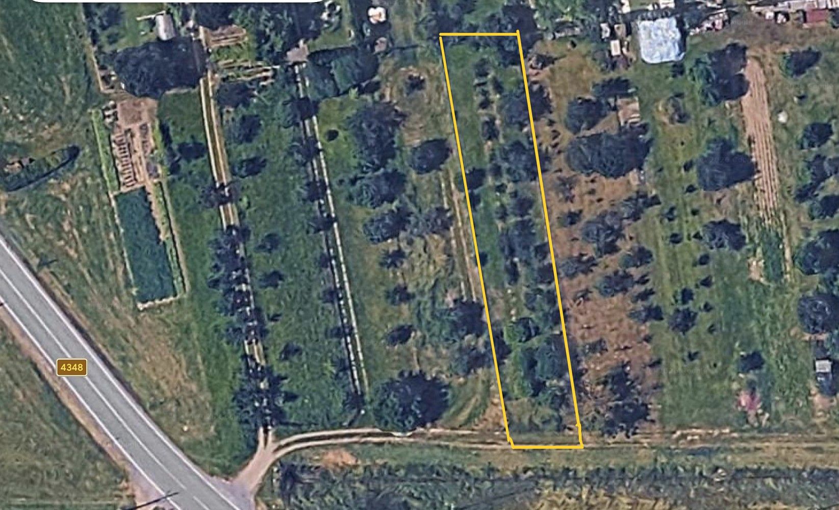Zahrada, 894 m²