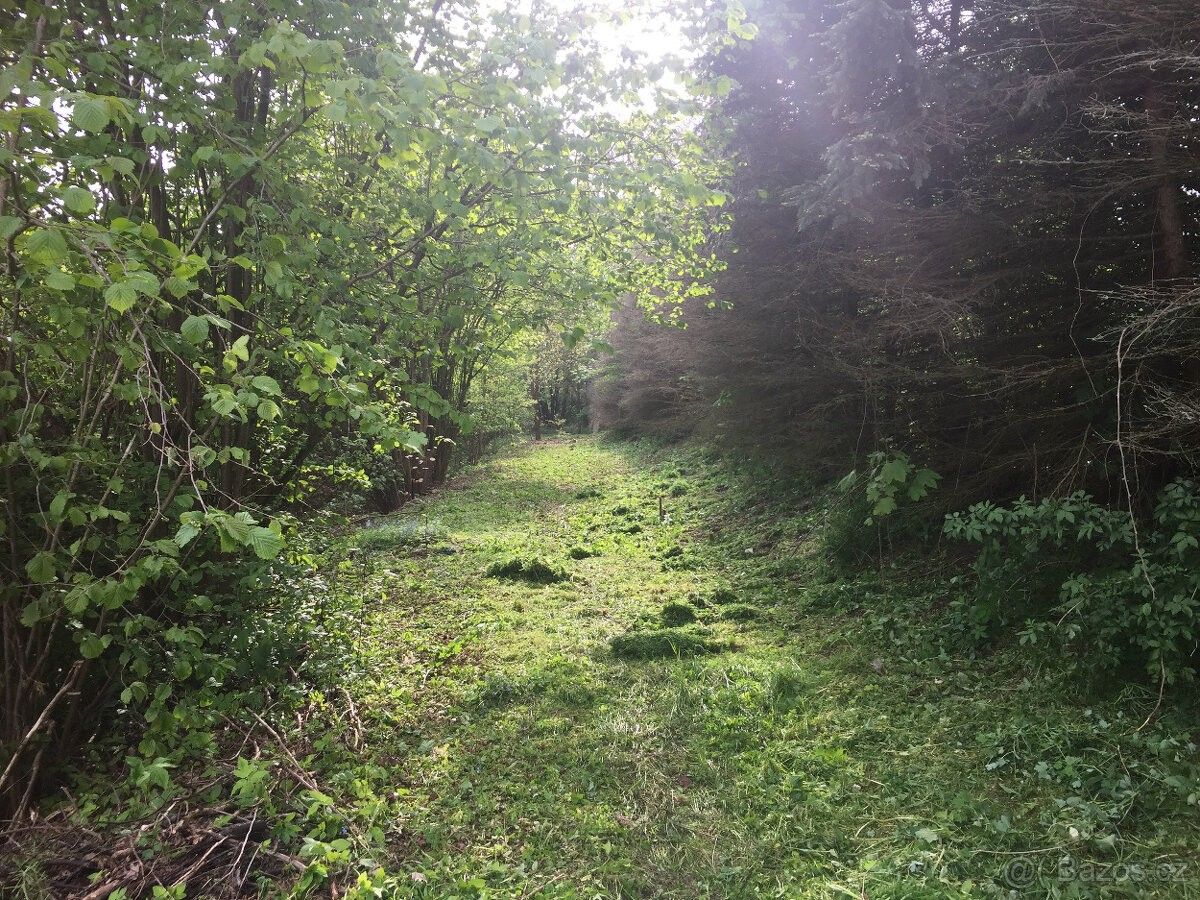 Zahrady, Strmilov, 378 53