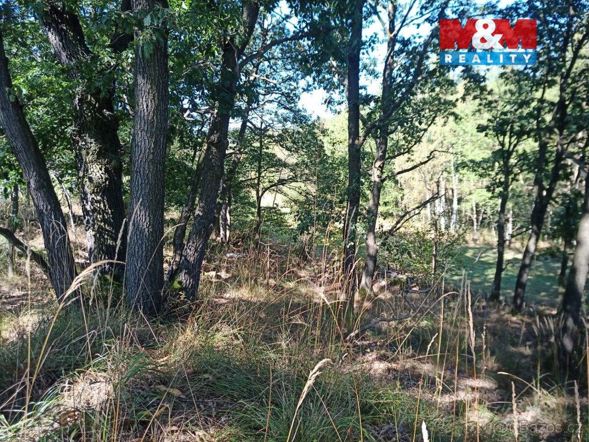 Prodej pozemek pro bydlení - Chomutov, 430 01