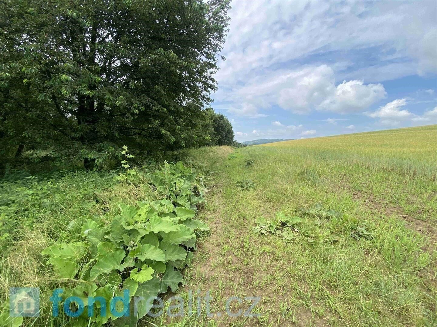 Prodej pozemek - Prusinovice, 1 582 m² - 5