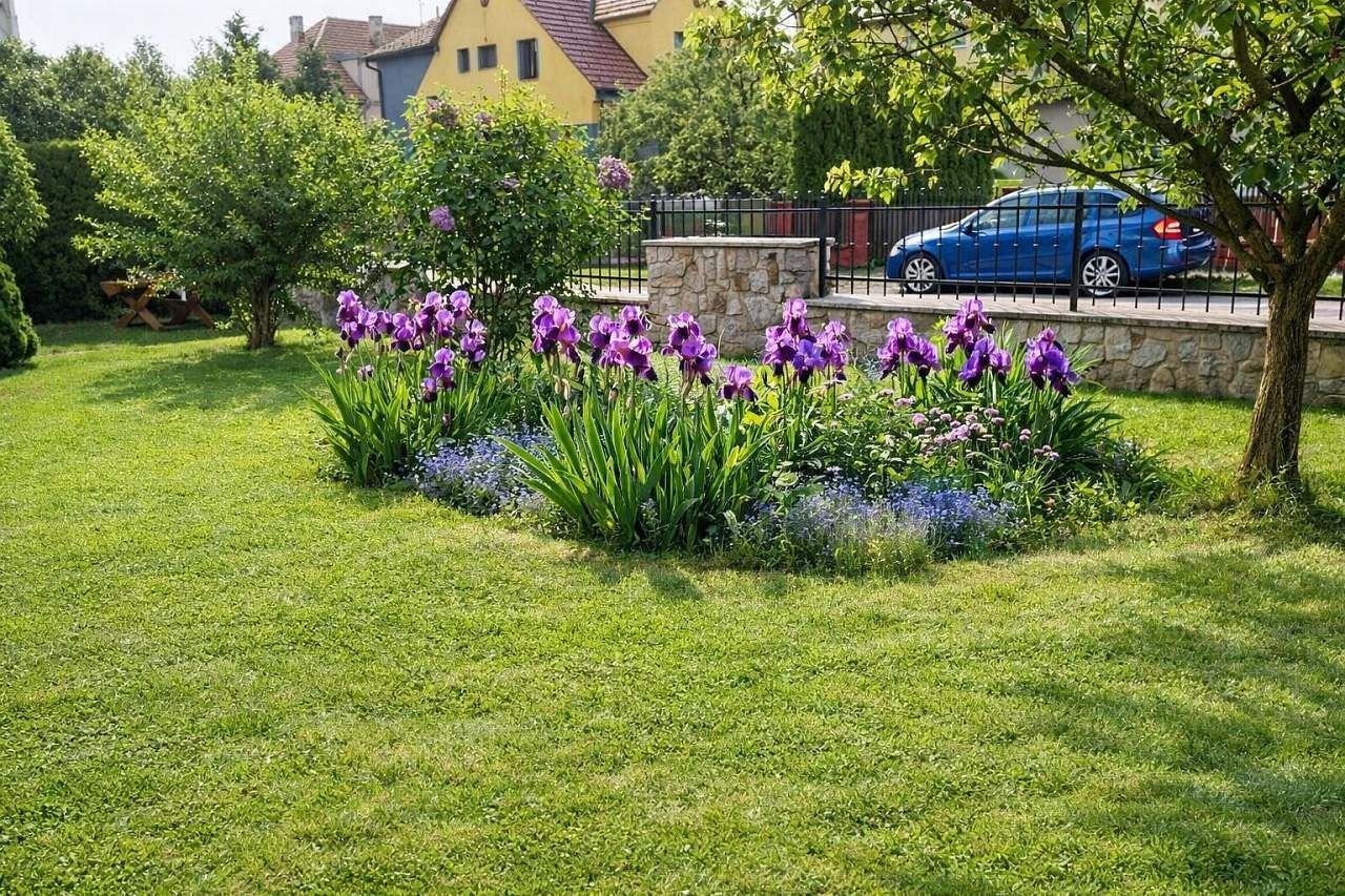 Chaty, Třeboň, Jihočeský kraj - 2
