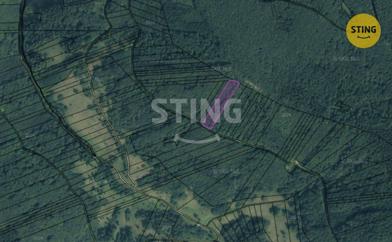 Les · 19 597 m² · Velké Karlovice - 3
