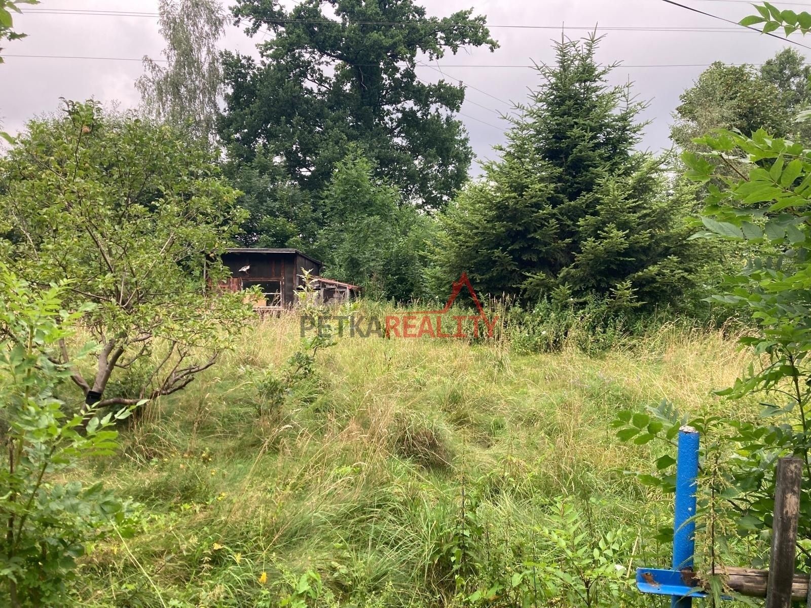 Prodej pozemek pro bydlení - Jindřichovice pod Smrkem, 829 m² - 5