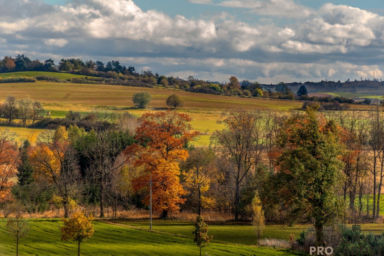 Prodej rodinný dům - Svatoslav, Luka nad Jihlavou, 200 m²