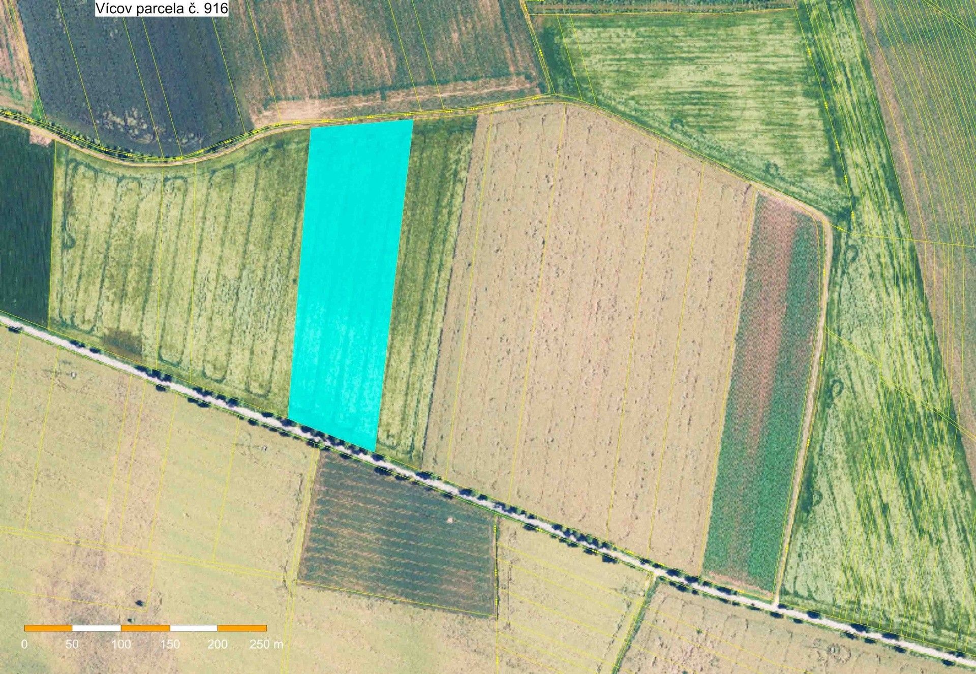 Prodej zemědělský pozemek - Vícov