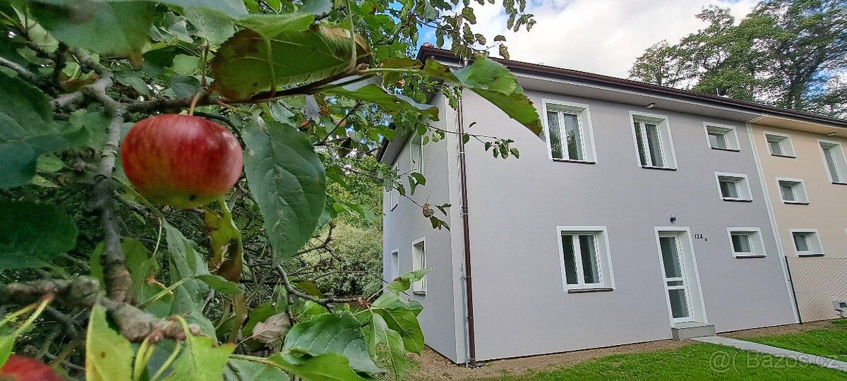 Pronájem rodinný dům - Chlumec u Ústí nad Labem, 403 39