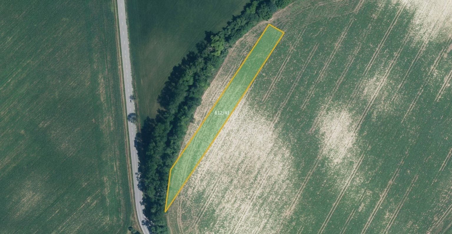 Zemědělské pozemky, Skoronice