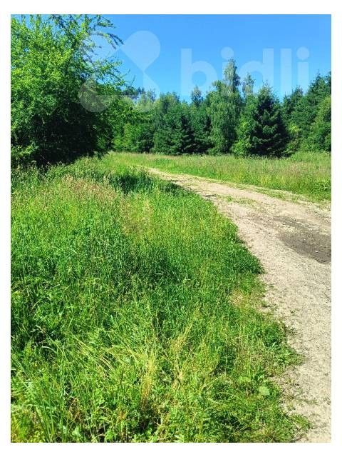 Louky, Velká Roudka, Velké Opatovice