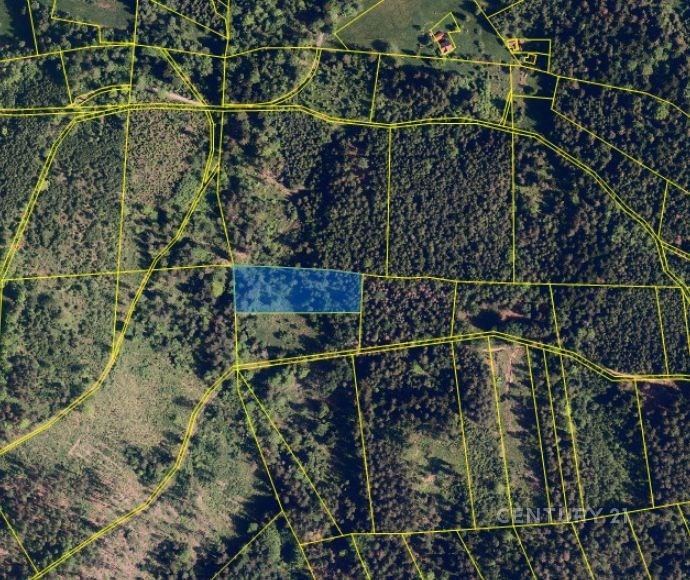Prodej zemědělský pozemek - Milíkov - 5