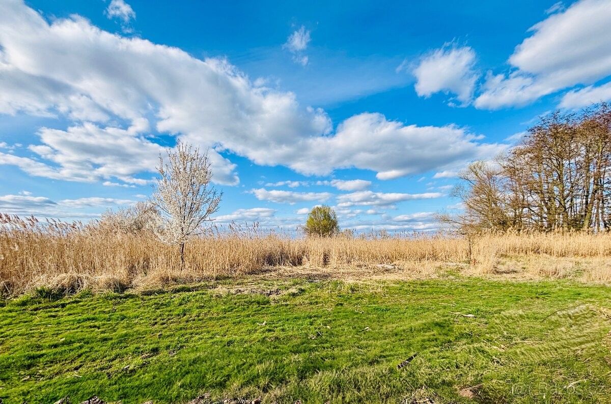 Prodej pozemek pro bydlení - Lužec nad Cidlinou, 503 62