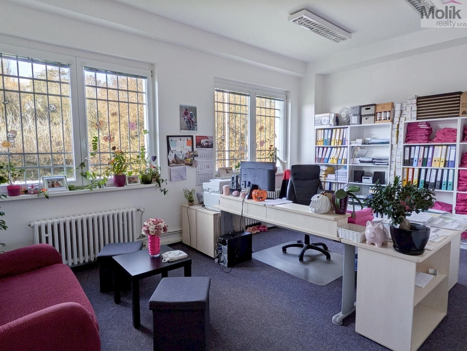 Kanceláře, Novosedlická, Teplice, 18 m²