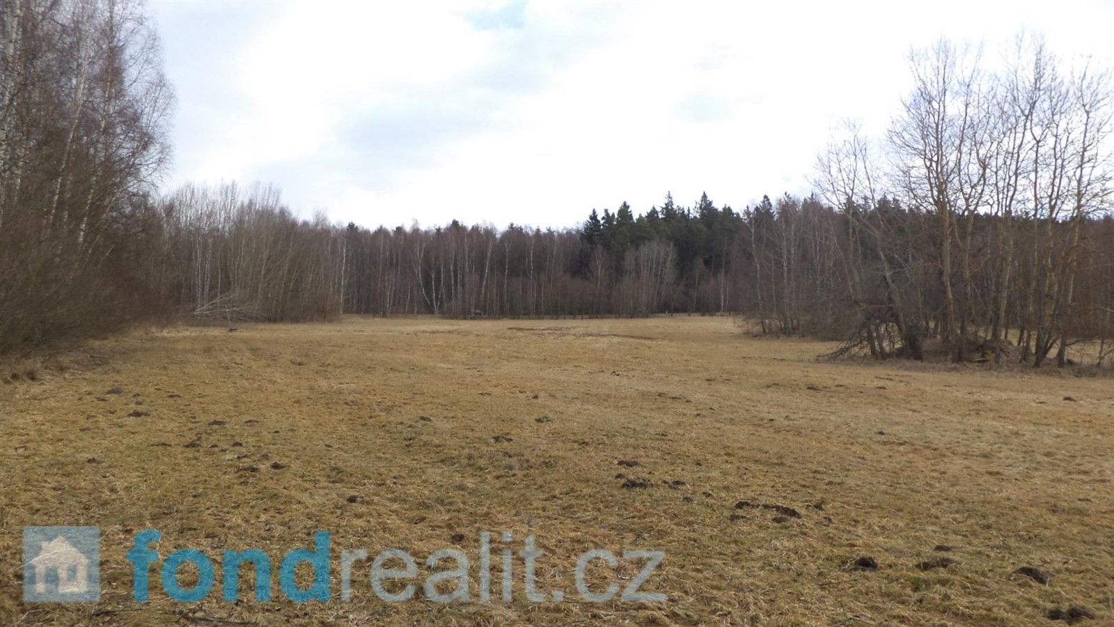 Prodej pozemek - Horní Planá, 22 889 m²