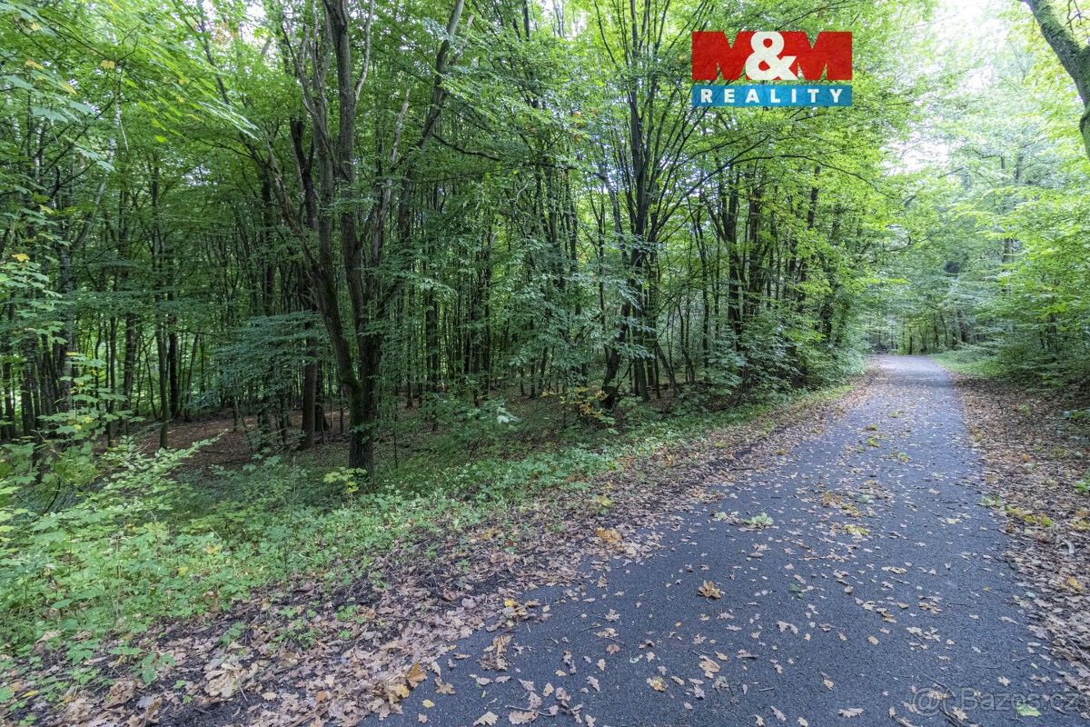 Zahrady, Kostelec nad Černými Lesy, 281 63