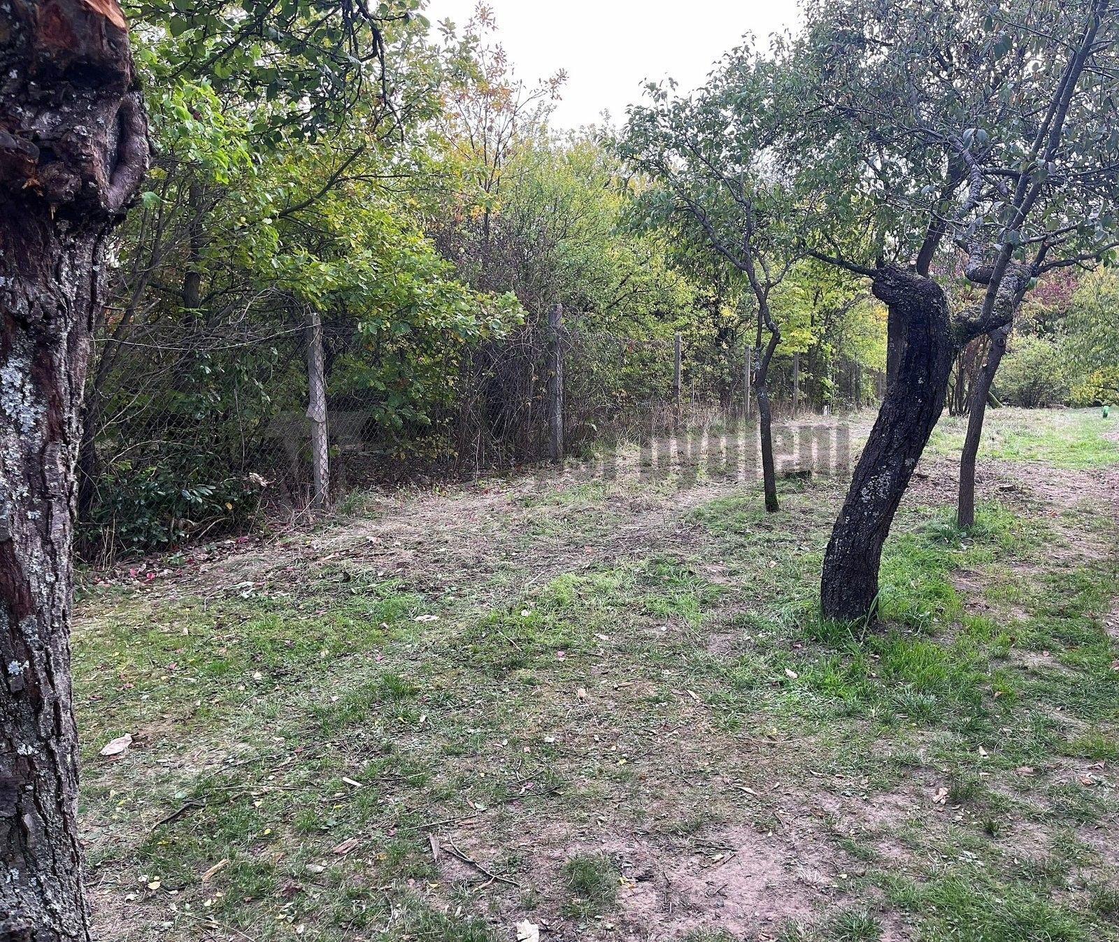 Zahrada · 933 m² · Jundrov, Brno - 4