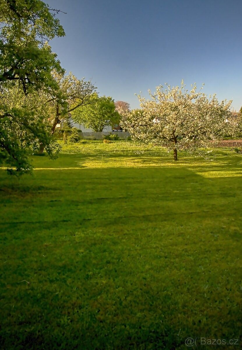 Prodej pozemek pro bydlení - Staré Hradiště u Pardubic, 533 52