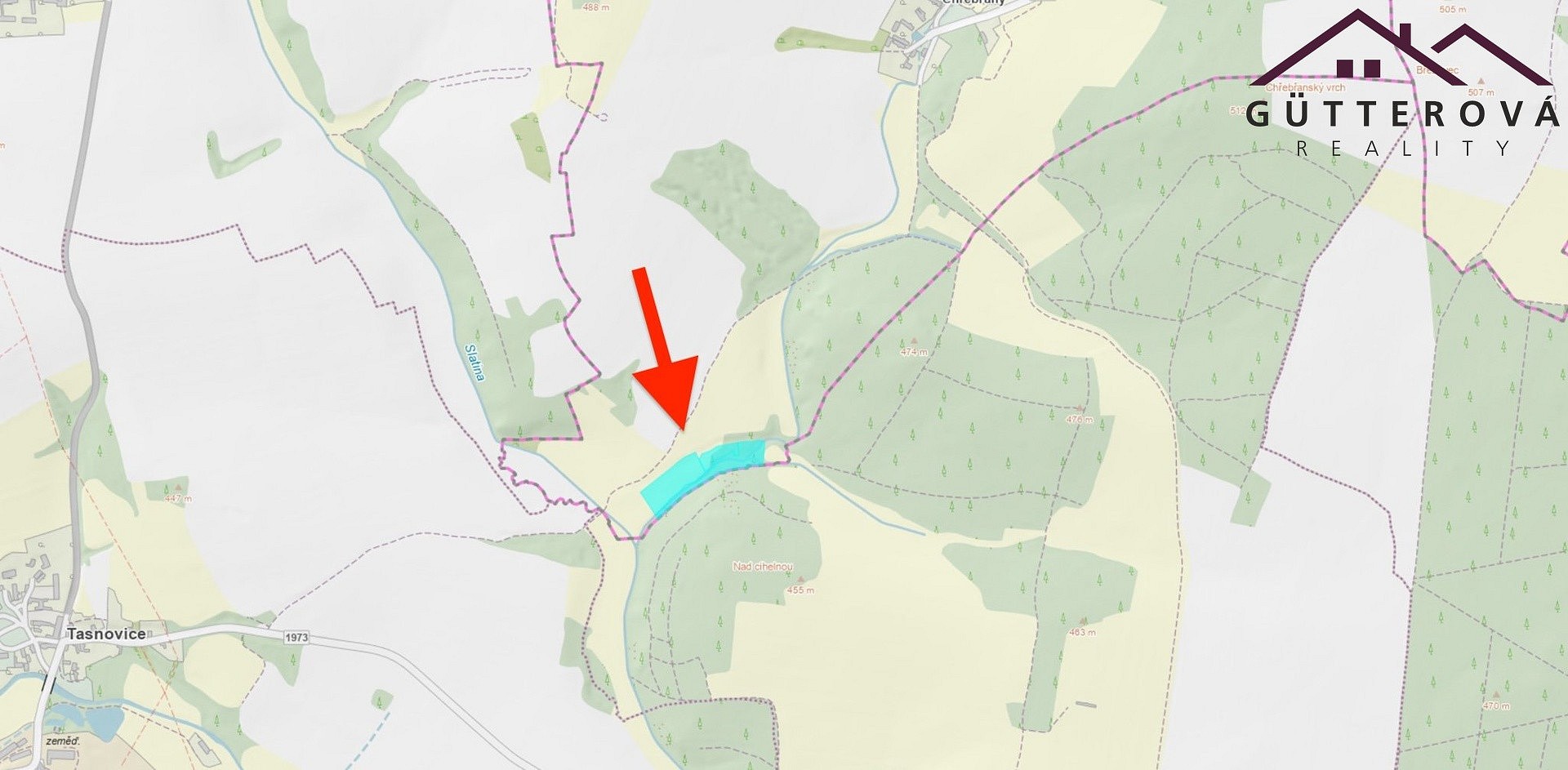 Louka · Vidice - Chřebřany, okres Domažlice - 3