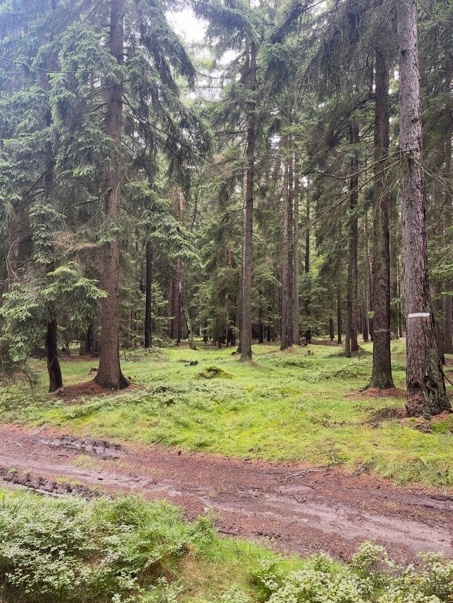 Chaty, Praha, 118 00