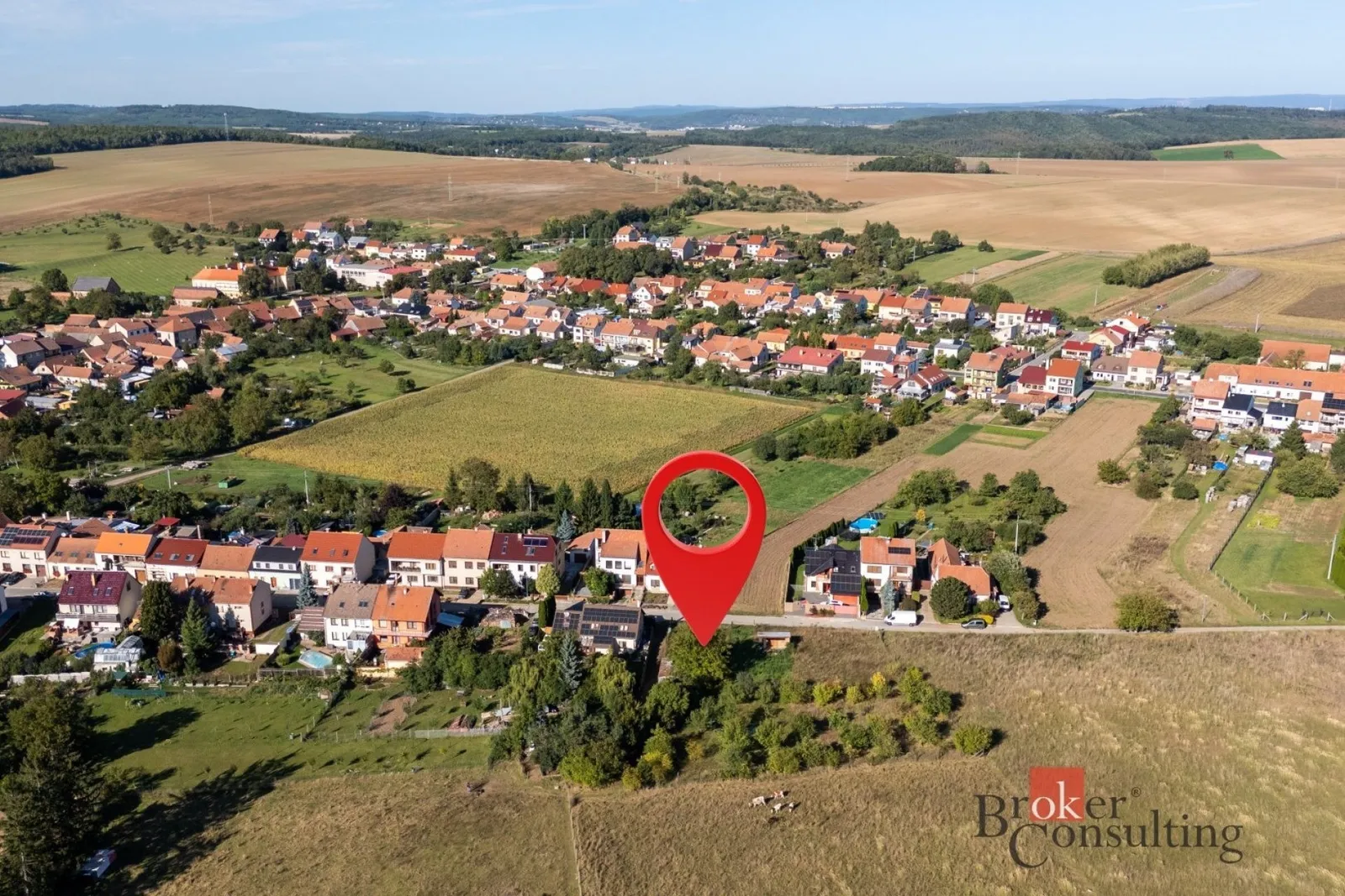 Ostatní