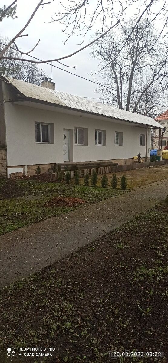 Obchodní prostory, Opočnice, 289 04