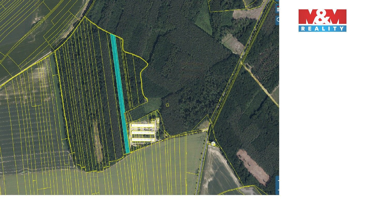 Les · Městec Králové, okres Nymburk, Středočeský kraj - 2