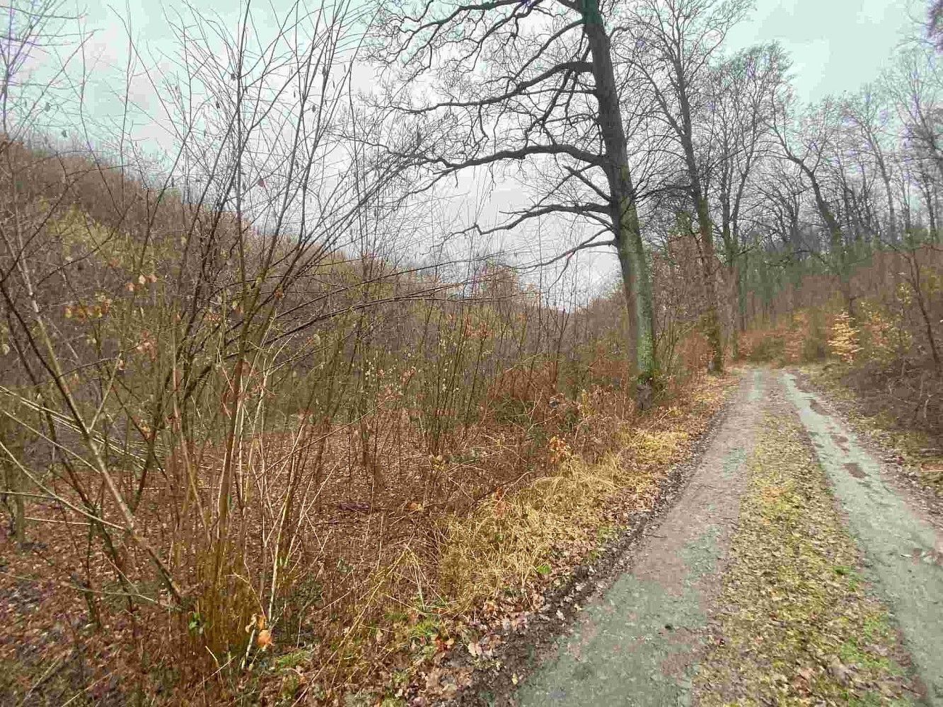 Zemědělský pozemek · Ždánice, okres Hodonín, Jihomoravský kraj - 3