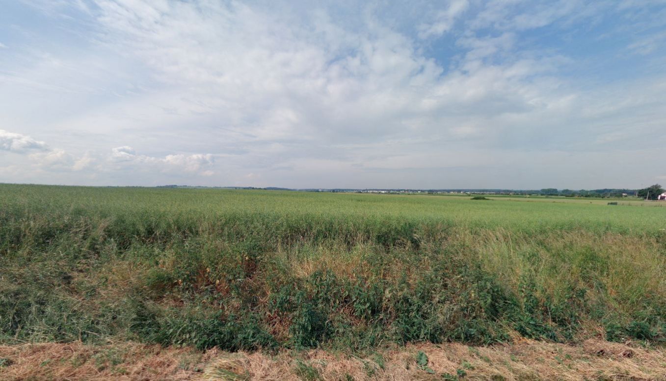 Prodej zemědělský pozemek - Horoušany