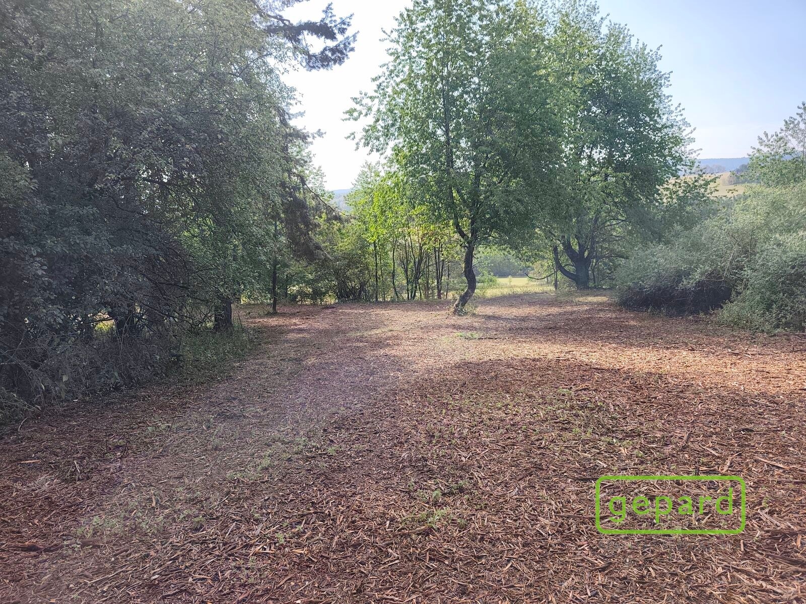 Prodej pozemek pro bydlení - Světlík, 14 307 m² - 5