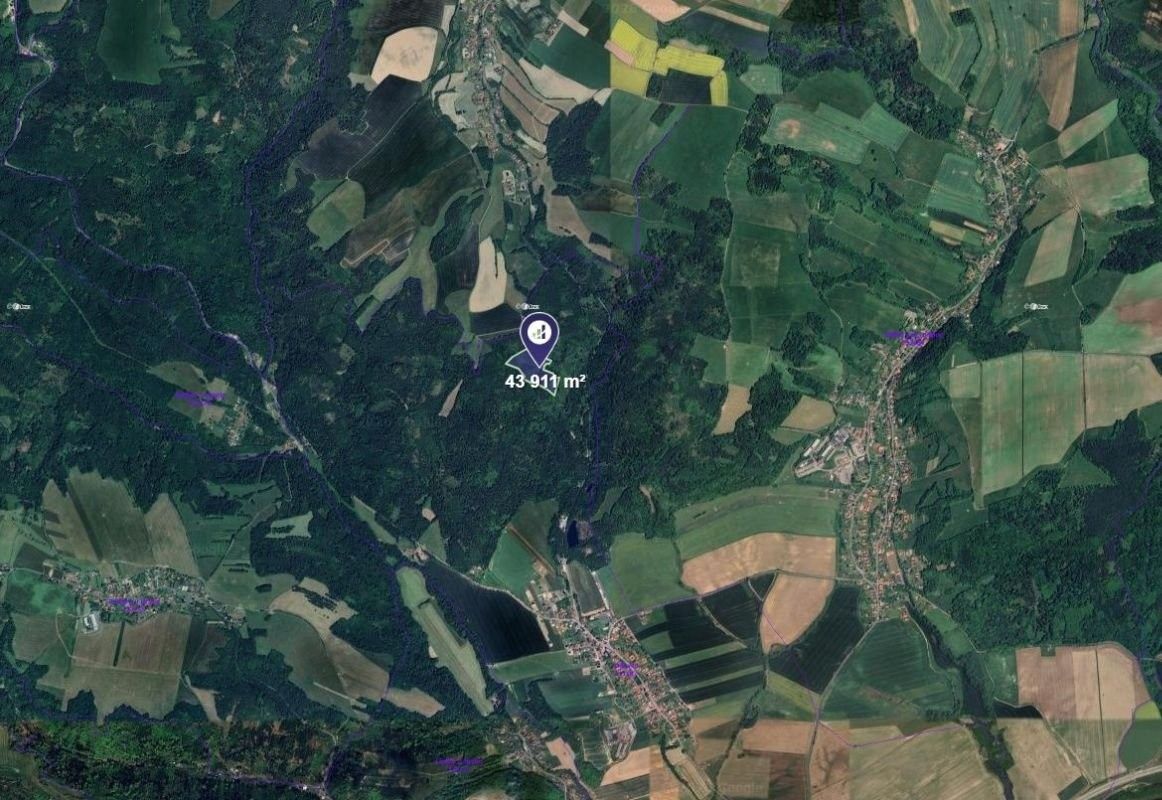 Lesy, Olšovec, 43 911 m² - 2