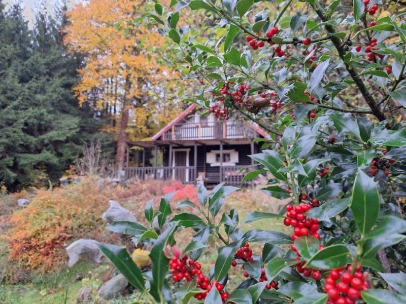 Prodej chata - Vysoká Srbská, 46 m²