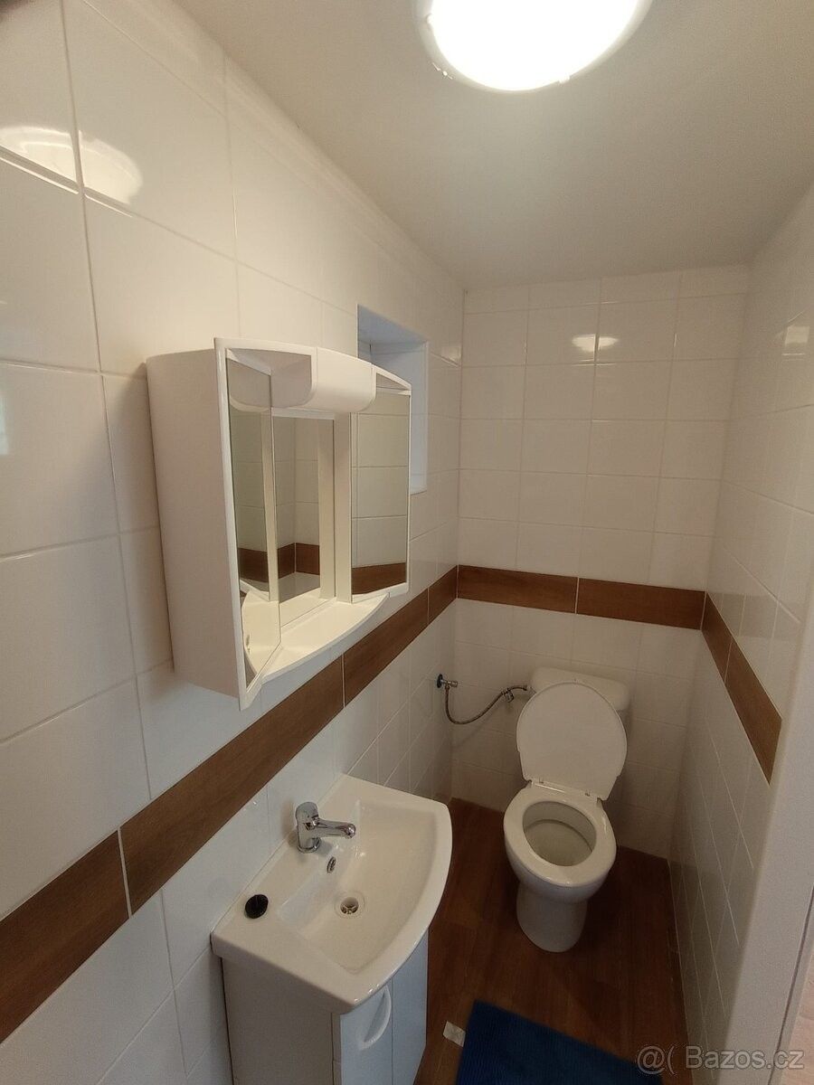 Pronájem byt - Praha, 101 00