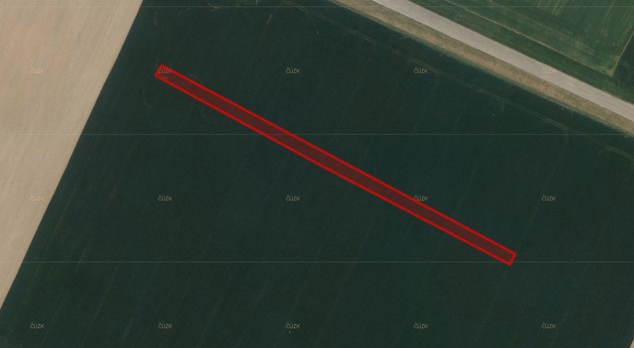 Prodej zemědělský pozemek - Radim, Luže