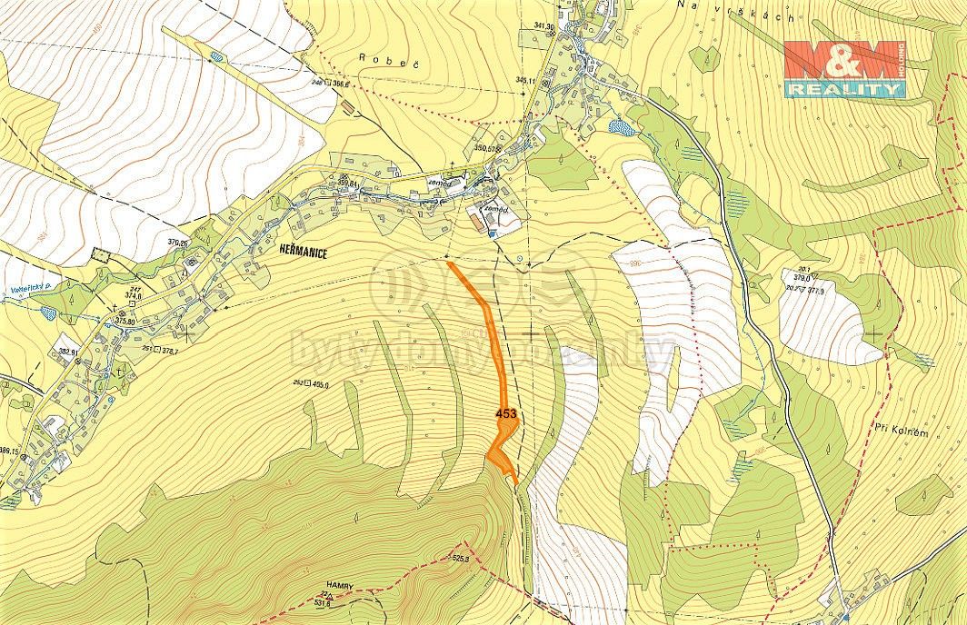 Les · Žandov, okres Česká Lípa, Liberecký kraj - 3