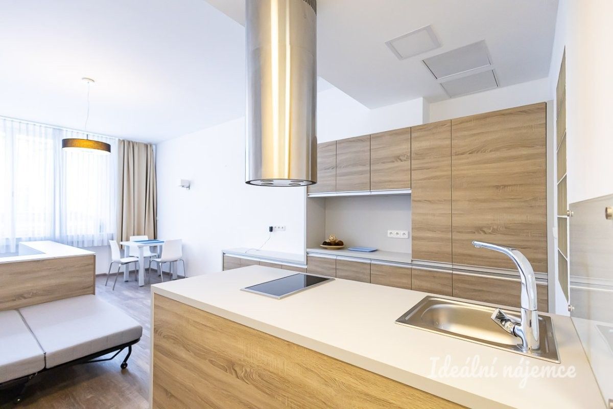 1+kk, U půjčovny, Praha, 38 m² - 1
