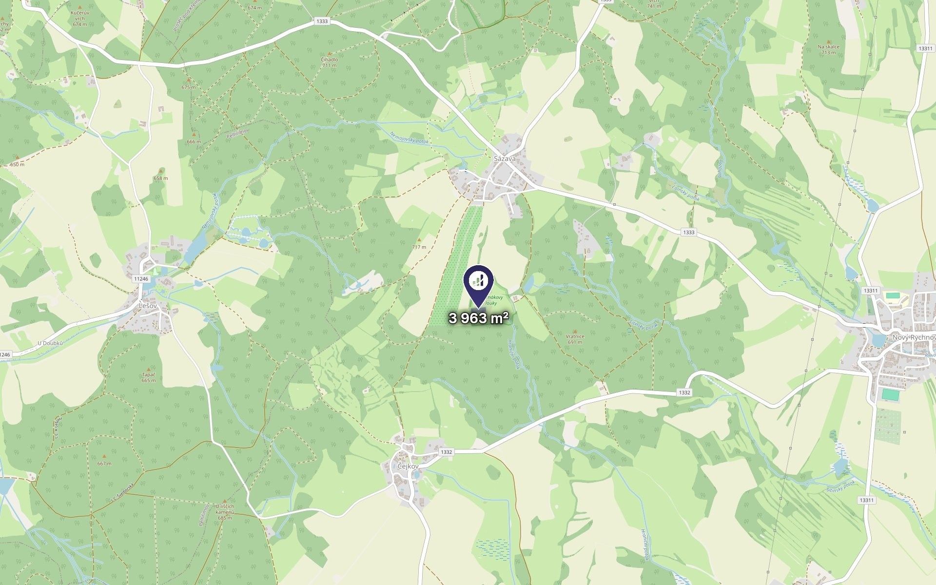 Louka · 3 963 m² · Nový Rychnov - 3