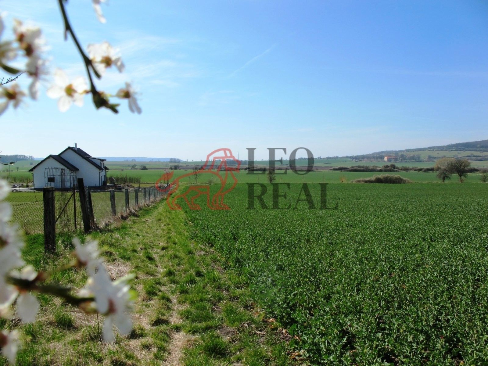 Prodej pozemek pro bydlení - Násedlnice, Kněžmost, 1 050 m²