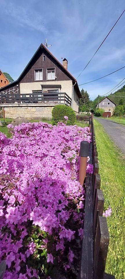 Chaty, Kunratice - Studený u Kunratic, Ústecký kraj - 2